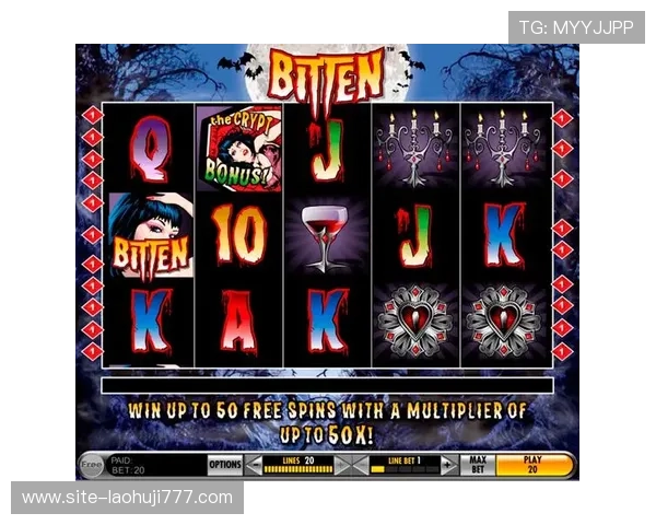 老虎机国际站：如何选择最具信誉的国际老虎机游戏平台