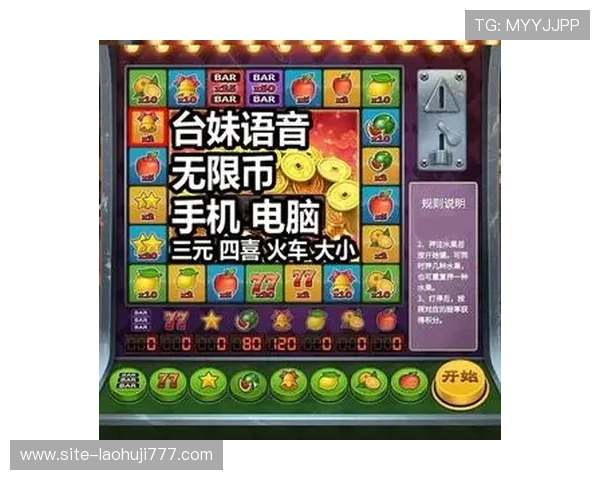 单机老虎机手机版下载安装详细攻略，帮助玩家轻松应对各种安装难题